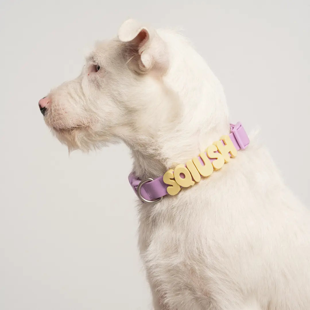 WATERPROOF DOG COLLAR-LILAC