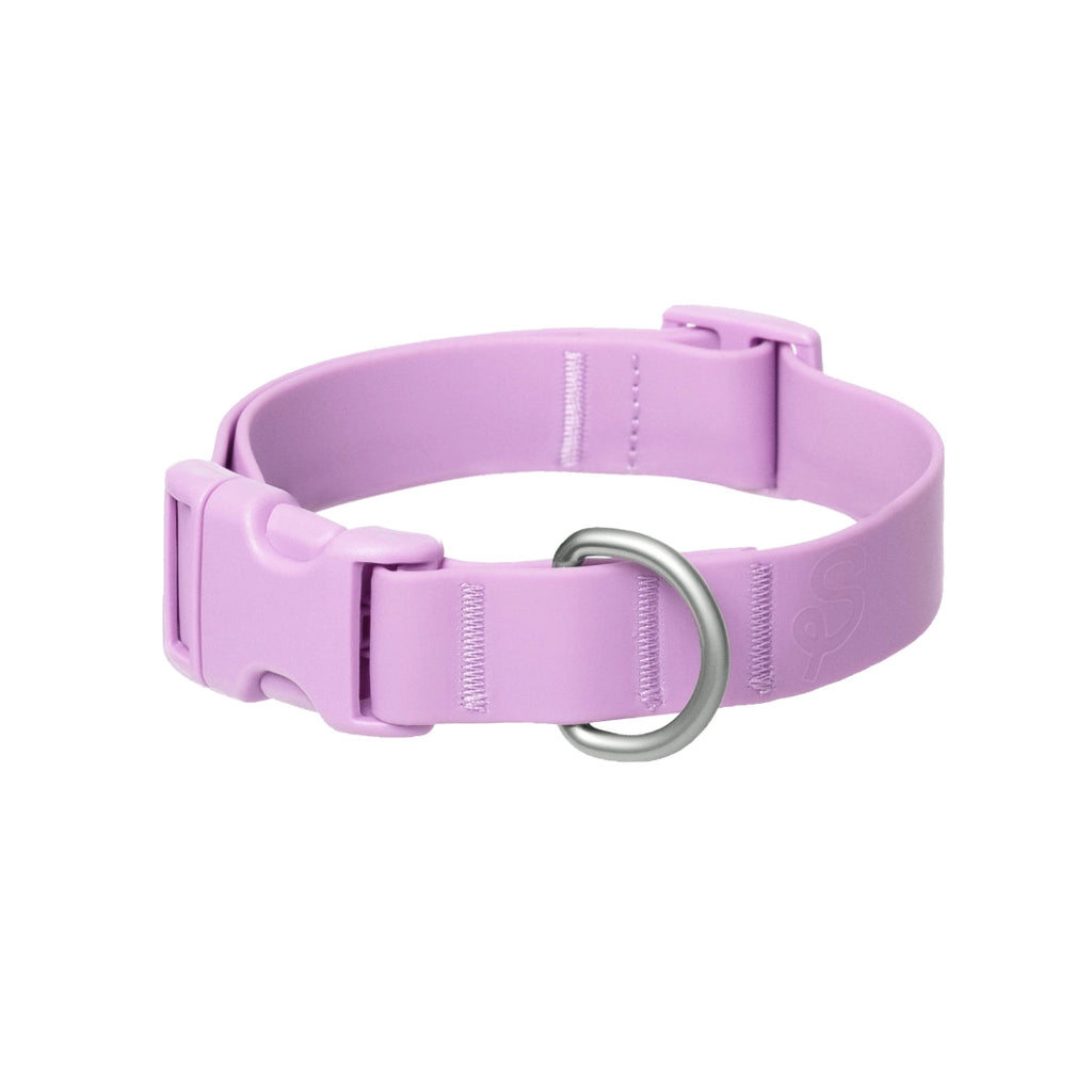 WATERPROOF DOG COLLAR-LILAC